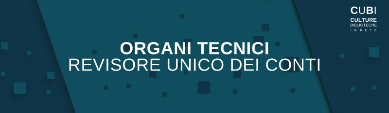 Banner Revisore unico dei conti