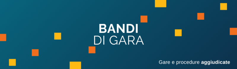 Gare e procedure aggiudicate